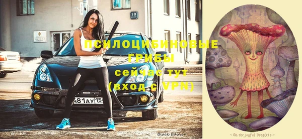 мяу мяу мука Абинск